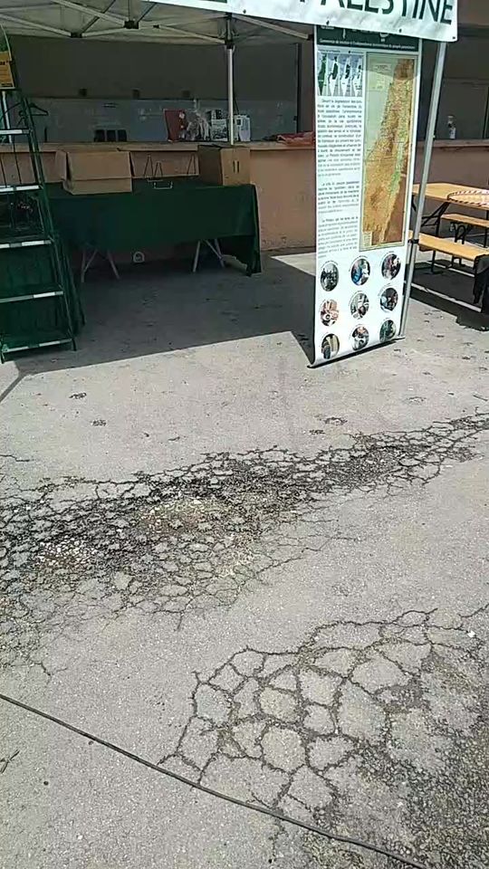 Du Gard à Gaza ka solidarité sans frontières ni shek point. 10 343439868 6357100194328839 4916006336664630759 n