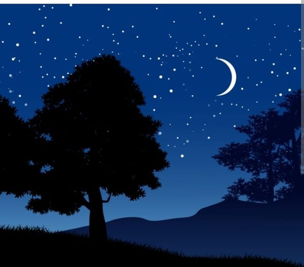 Belle nuit à vous 13 356842658 1605064673320151 505937722319369409 n