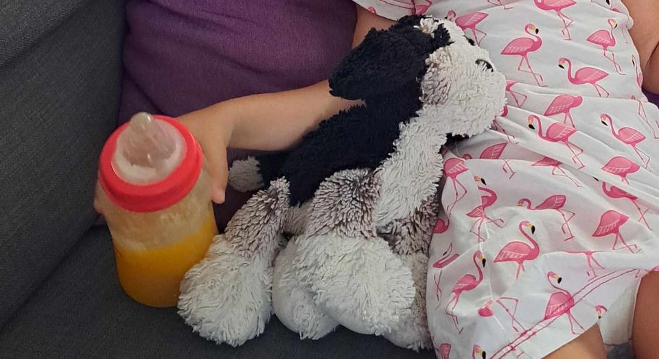 Voici le doudou perdu surement dans une rue... 7 357175627 1510002702865218 816172238663236731 n